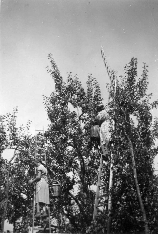 img059