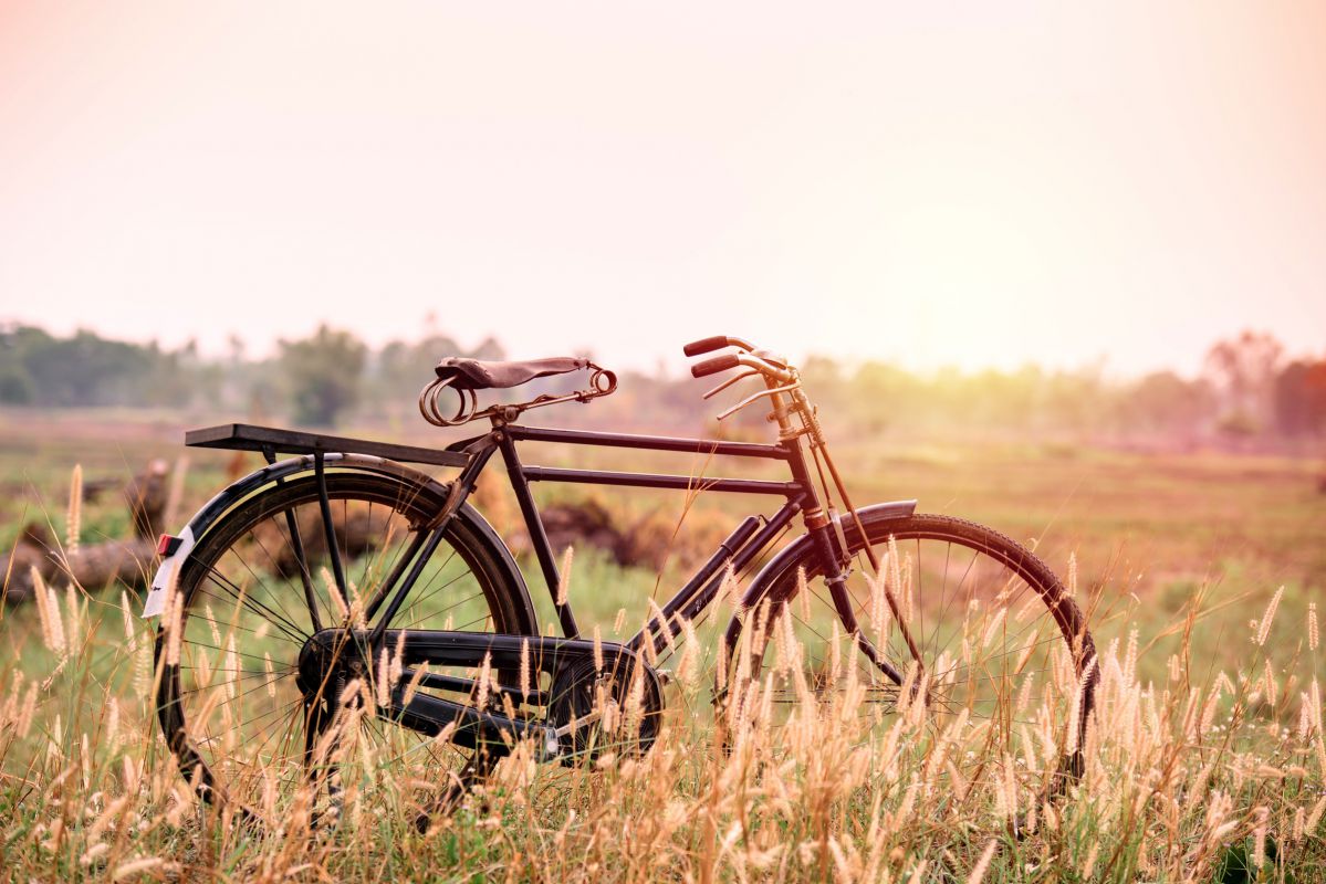 FIETS_shutterstock_270069671